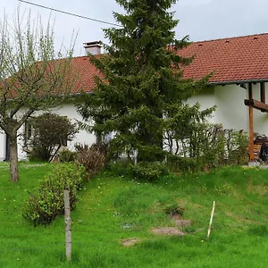 Apartment Cosy In Allg U With Garden Oy-Mittelberg